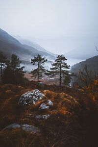 Herbstnebel in Schweden
