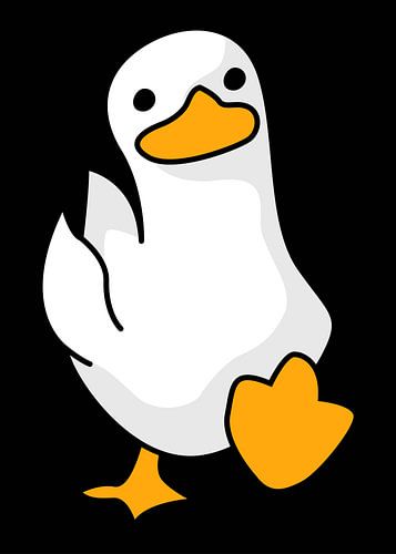 Grappig Eendje Lopen