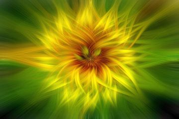 Die abstrakte Sonnenblume