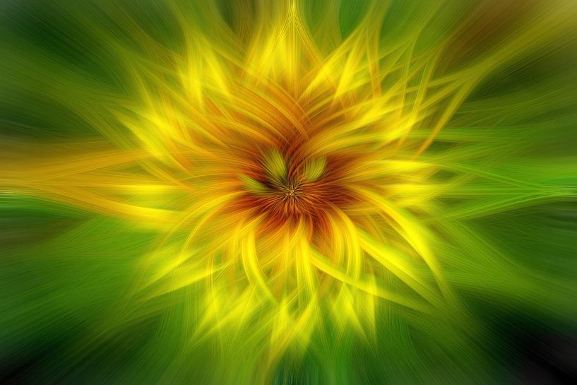 De abstracte zonnebloem van Photoart-Naegele