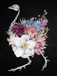 Skeletal Bloom by Marja van den Hurk