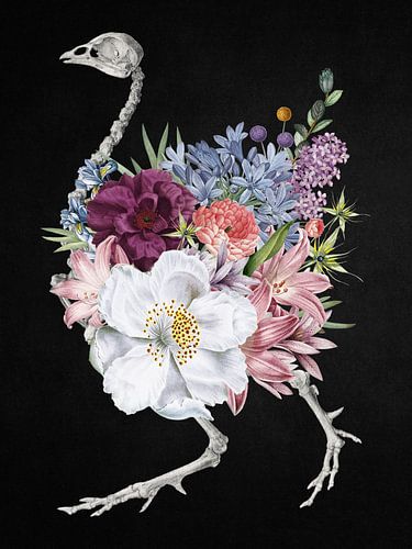 Skeletal Bloom