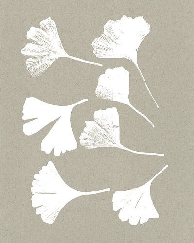 Ginkgobladeren op neutraal papier. Botanische illustratie vintage stijl