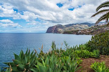 View to the city Camara de Lobos on the island Madeira, Portugal van Rico Ködder