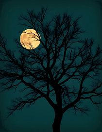 Serene Moonrise by Artistic