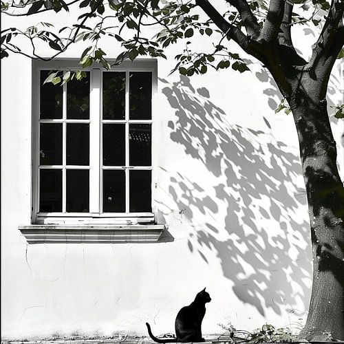 Black Cat, White Window - A Minimalist Portrait of Intrigue