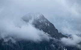 Wächter der Höhen von Anselm Ziegler Photography