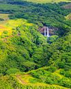 Wailua Waterfall, Kauai, Hawaii by Henk Meijer Photography thumbnail