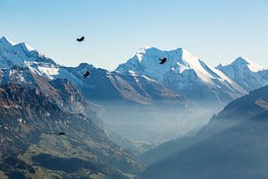 Vogelvlucht door de Zwitserse Alpen van Hidde Hageman