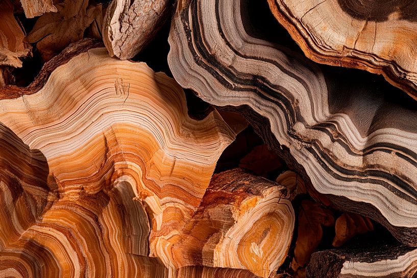 Holzstruktur in erdigen Tönen – Natur von Poster Art Shop