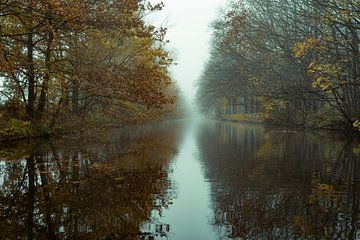 Ein nebliger Kanal mit gespiegelten Bäumen. von Raaf