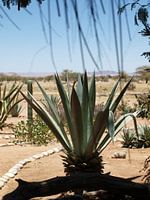 Namibië uitzicht