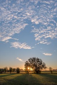 Zonsopkomst met mooie lucht 01
