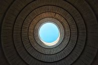 Cool eye van Samantha van Asperen thumbnail