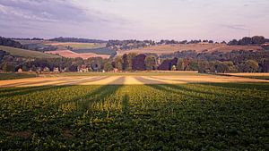 Sonnenaufgang in Partij-Wittem