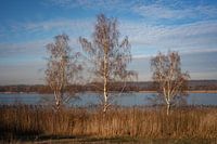 Au bord du lac de Singlis