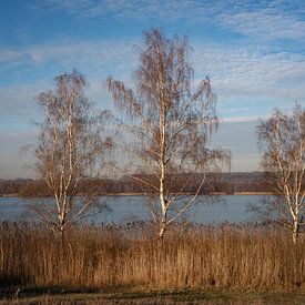 Bij het meer Singlis van Kilian Schloemp