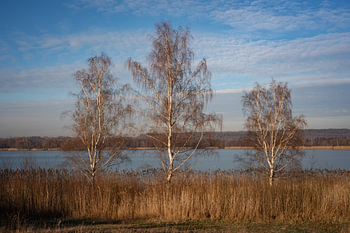 At Lake Singlis