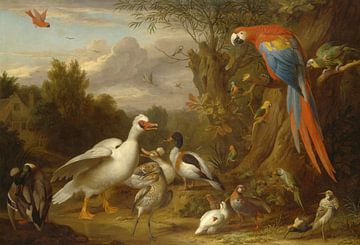 Ein Ara, Enten, Papageien und andere Vögel in einer Landschaft, Jakob Bogdány