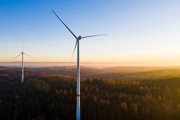 Un parc éolien dans la lumière du soir