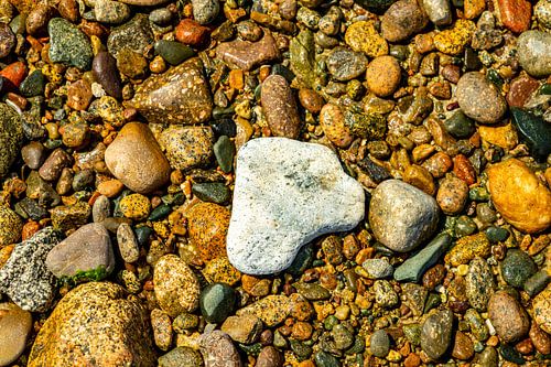 Een korte ontdekkingstocht naar het schiereiland Sillon de Talbert in het prachtige Bretagne in de buurt van Pleubian - Frankrijk
