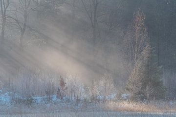 Zonnestralen in de winter op de Slotplaats, Friesland van Fenna Duin-Huizing