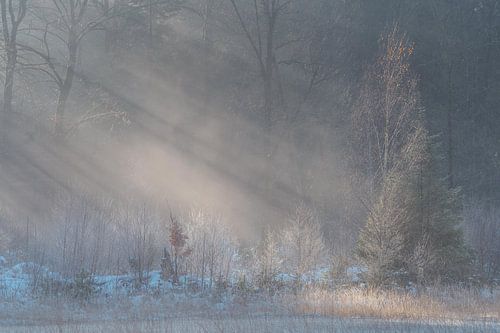 Zonnestralen in de winter op de Slotplaats, Friesland