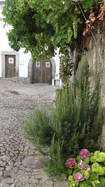 Courtyard in Castelo de Vide by Frans Collette