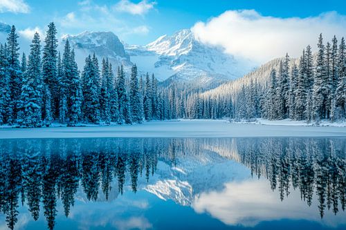 Winter berglandschap