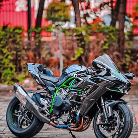 mhocidark mo Profile picture