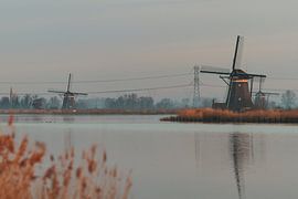 molens langs de rottemeren