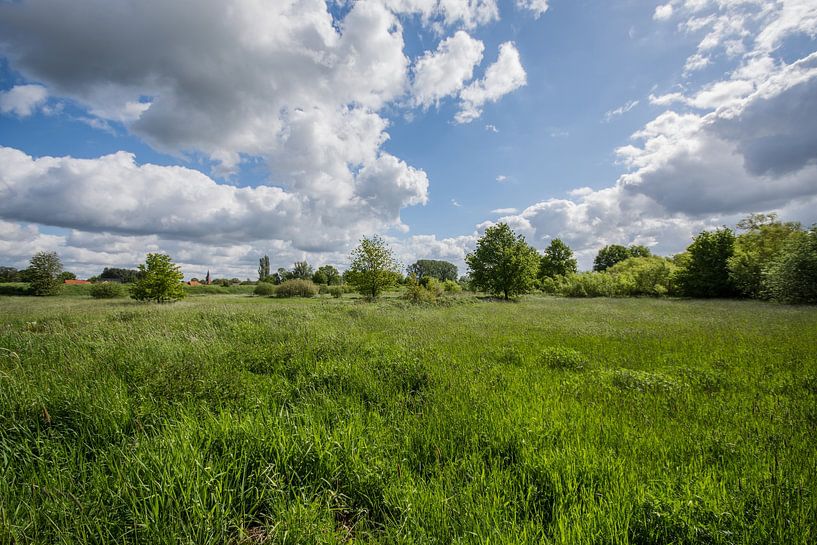 landschap van Bart Liesenborgs