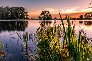 Ein friedlicher Sonnenuntergang am Wasser von Rick van de Kraats