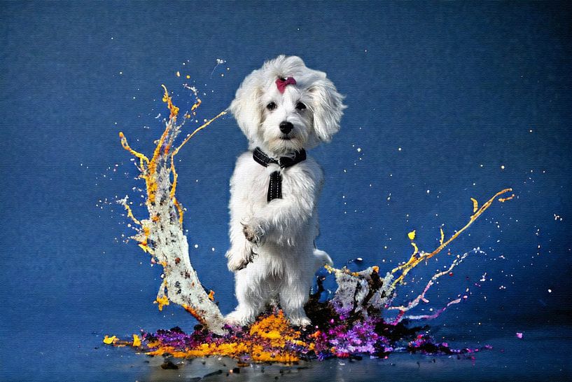 Dynamic portrait white dog with colour splashes by Maud De Vries
