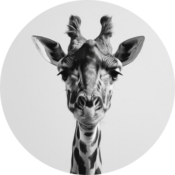 Giraffe in zwart-wit - Minimalistische dierenkunst