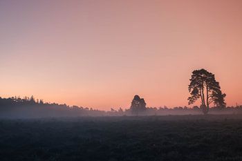 Mooi licht in Diever