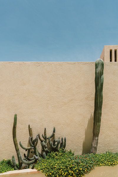 Cabo Architectuur van Bethany Young Photography