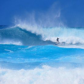 Les surfeurs à Hawaii sur Thomas Zacharias