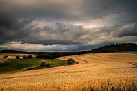 Nach dem Gewitter