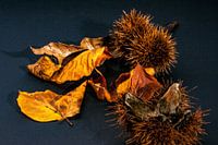 Einfache Natur