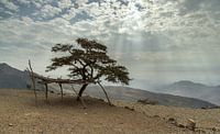 Sonnenstrahlen in der Wüste von Oman von Ruud Overes Miniaturansicht