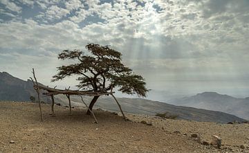 Zonnestralen in de woestijn van Oman van Ruud Overes