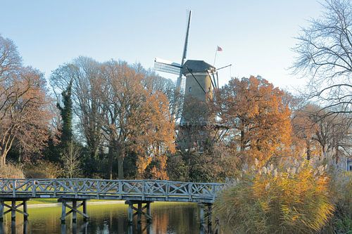 Alkmaar stadsgezicht met molen van Piet, gracht, nassaubrug en bolwerk