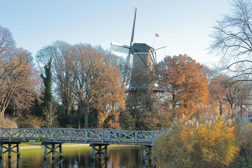 Cityscape Alkmaar with windmill, canal, trees, bridge. par Ronald Smits