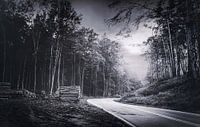Une nuit dans les bois - Un endroit à retenir par Jakob Baranowski - Photography - Video - Photoshop Aperçu