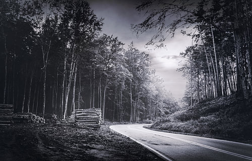 Een nacht in het bos - Een plek om te onthouden