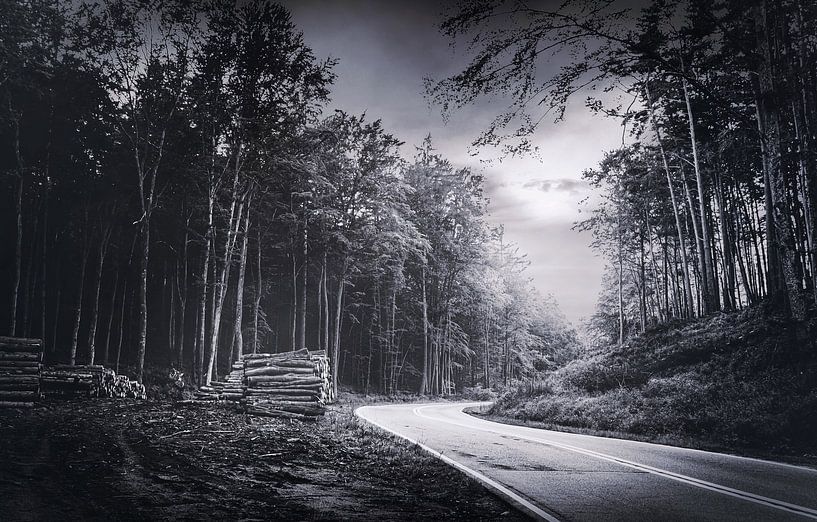 Une nuit dans les bois - Un endroit à retenir par Jakob Baranowski - Photography - Video - Photoshop