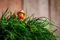 LEGO Minifigure with hat and red shirt is busy raking a plant in an industrial interior