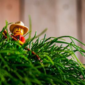LEGO Minifigure with hat and red shirt is busy raking a plant in an industrial interior von Raymond Voskamp