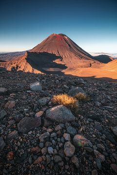 Alpenoversteek Nieuw-Zeeland met Mount Ngaruhoe van Jean Claude Castor